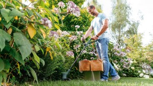 Тример садовий Bosch EasyGrassCut 23