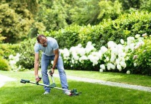 Тример садовий акумуляторний Bosch UniversalGrassCut 18V-260