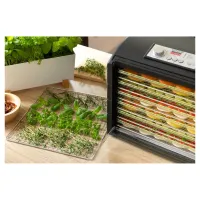 Сушарка для продуктів Sencor SFD6601BK