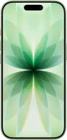 Смартфон Apple iPhone 17 512GB Sage (MG6V4AF/A)