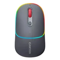 Миша бездротова Canyon MW-22 Dual Band RGB Wireless Dark Grey (CNS-CMSW22DG)