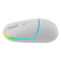 Миша бездротова Canyon MW-22 Dual Band RGB Wireless Snow White (CNS-CMSW22SW)