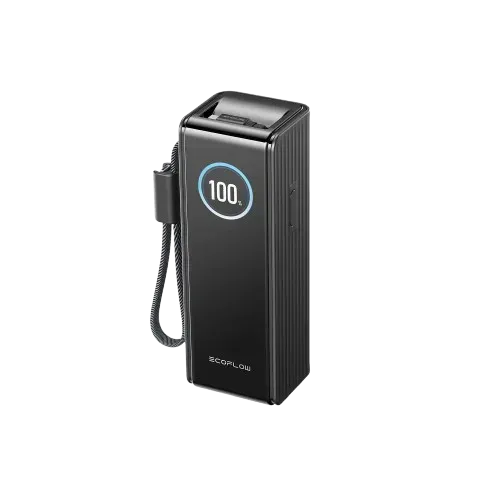 Повербанк EcoFlow RAPID Power Bank з кабелями 25000mAh чорний (EF