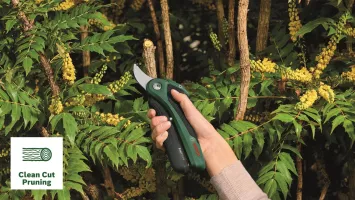 Секатор акумуляторний Bosch EasyPrune (0.600.8B2.102)