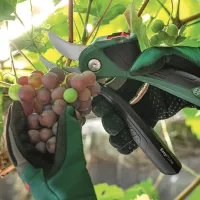 Секатор акумуляторний Bosch EasyPrune (0.600.8B2.102)