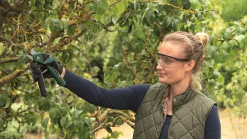 Секатор акумуляторний Bosch EasyPrune (0.600.8B2.102)