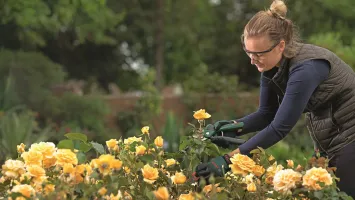 Секатор акумуляторний Bosch EasyPrune (0.600.8B2.102)