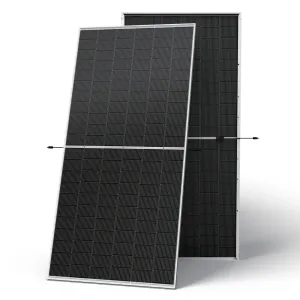 Сонячна панель Trina TSM-615M NEG19RC.20 Vertex N Bificial 615Вт