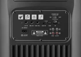 Портативна акустика DEFENDER (65201) Boomer 200 200Вт, BT/FM/TF/USB/MIC/AUX/GT, black