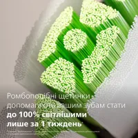 Зубна електрощітка PHILIPS HX6062/88 насадки Optimal White 2 шт